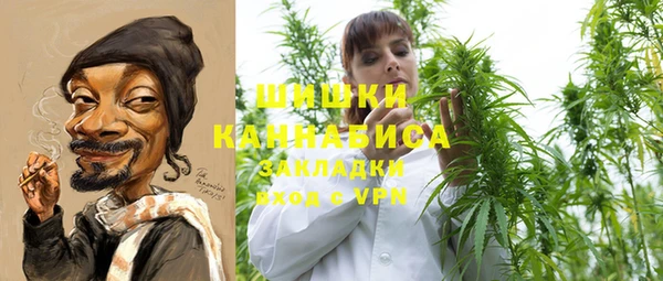 2c-b Заводоуковск