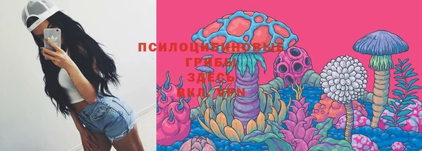 молекула духа Заволжск