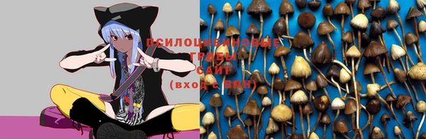 молекула духа Заволжск